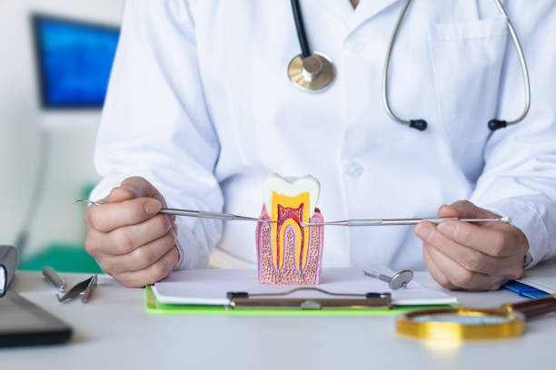 Best Emergency Care for Gum Disease in Peebles, OH